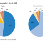 2025'in İlk Çeyreğinde Türkiye’ye 9 Milyar Dolardan Fazla Turizm Geliri