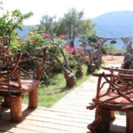 Alanya Mahalleleri ve Özellikleri