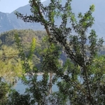 Antalya'da Romantik Kaçamak Noktaları – Çiftler İçin 10 Rota