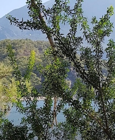 Antalya'da Romantik Kaçamak Noktaları – Çiftler İçin 10 Rota