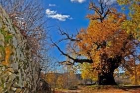 İbradı İlçesi: Antalya'nın Saklı Kültür ve Doğa Cenneti