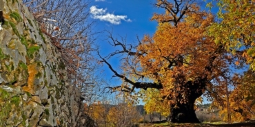İbradı İlçesi: Antalya'nın Saklı Kültür ve Doğa Cenneti