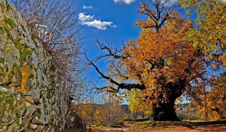 İbradı İlçesi: Antalya’nın Saklı Kültür ve Doğa Cenneti