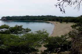 Kepez İlçesi: Antalya'nın Yükselen Yıldızı