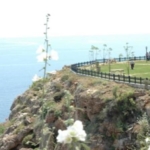 Muratpaşa İlçesi: Antalya’nın Tarihi, Kültürel ve Ticari Merkezi