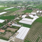 Antalya’nın Tarihi Kalbi: Elmalı Mahalleleri ve Yaşam Kültürü