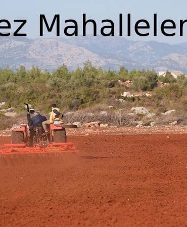 Kepez Mahalleleri