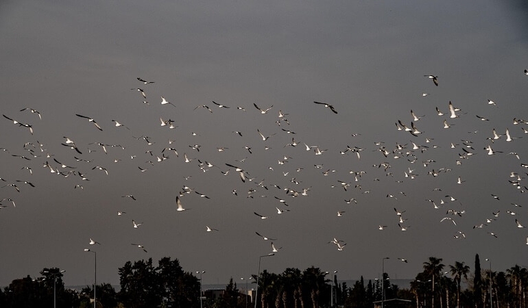 Antalya’da Bu Hafta Ne Var?