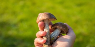 Yaz Aylarında Tehlike Çanları Çalıyor