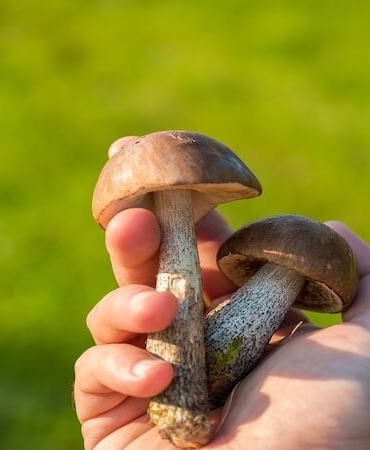 Yaz Aylarında Tehlike Çanları Çalıyor