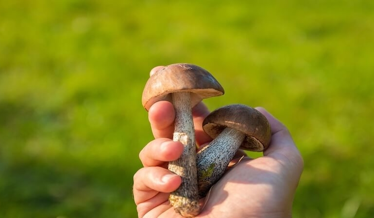 Yaz Aylarında Tehlike Çanları Çalıyor