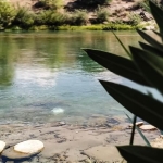 Antalya’da En İyi Balık Restoranları