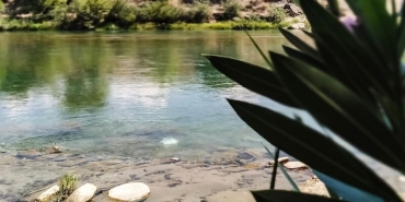 Antalya’da En İyi Balık Restoranları