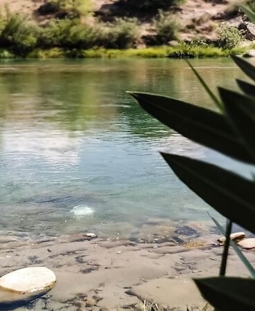 Antalya’da En İyi Balık Restoranları