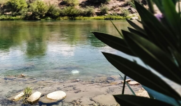 Antalya’da En İyi Balık Restoranları