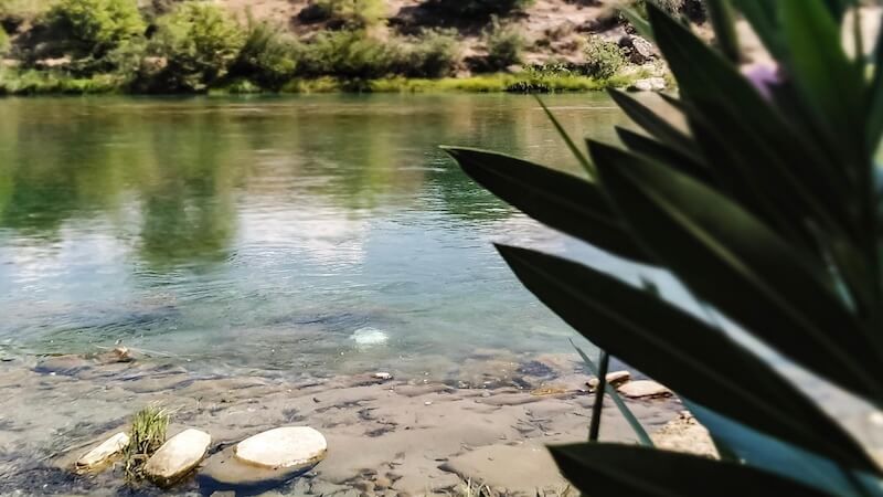 Antalya’da En İyi Balık Restoranları