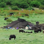 Antalya’da Saklı Kalan Efsaneler: Yörük Hikâyeleri ve Mitler