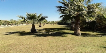 Antalya’daki En İyi Kaplıca ve Termal Oteller