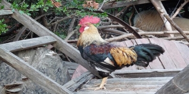 Antalya’nın En Güzel Köyleri: Doğa ve Huzur Dolu 8 Rota