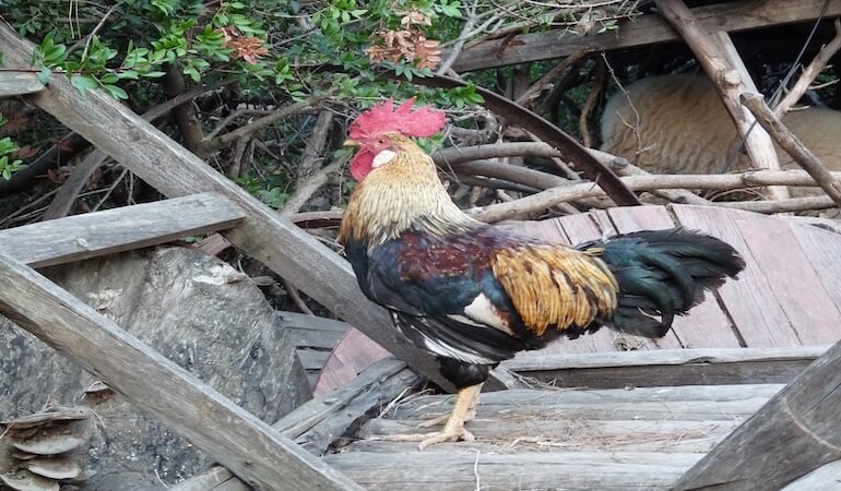 Antalya’nın En Güzel Köyleri: Doğa ve Huzur Dolu 8 Rota