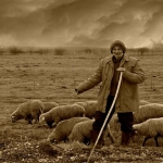 Torosların Eteklerinde Yayla Yaşamı: Göçebe Kültürün İzleri