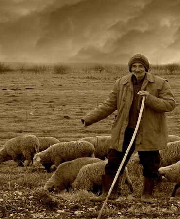 Torosların Eteklerinde Yayla Yaşamı: Göçebe Kültürün İzleri