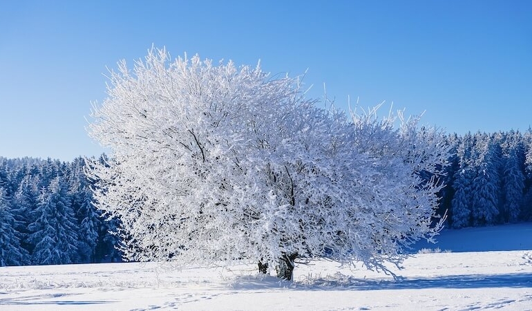 Antalya’da Bu Kış Neler Olacak?