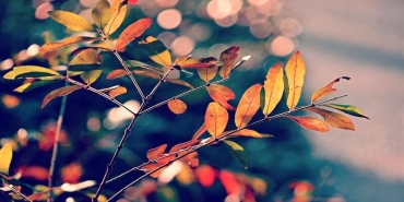 Antalya’da Sonbahar Hareketliliği