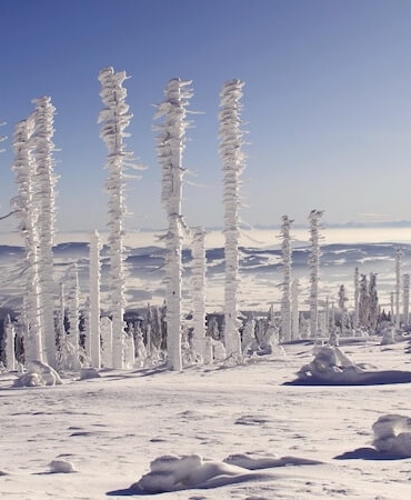 Kışın Antalya’da Yaşamak: Şehirde Dört Mevsim Hayat Var