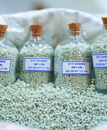 Sürdürülebilir Tarımın Kalbi Antalya'da Attı