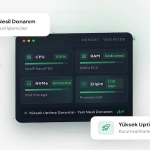 VDS Kiralama ve Satın Alma Arasındaki Farklar Nelerdir?